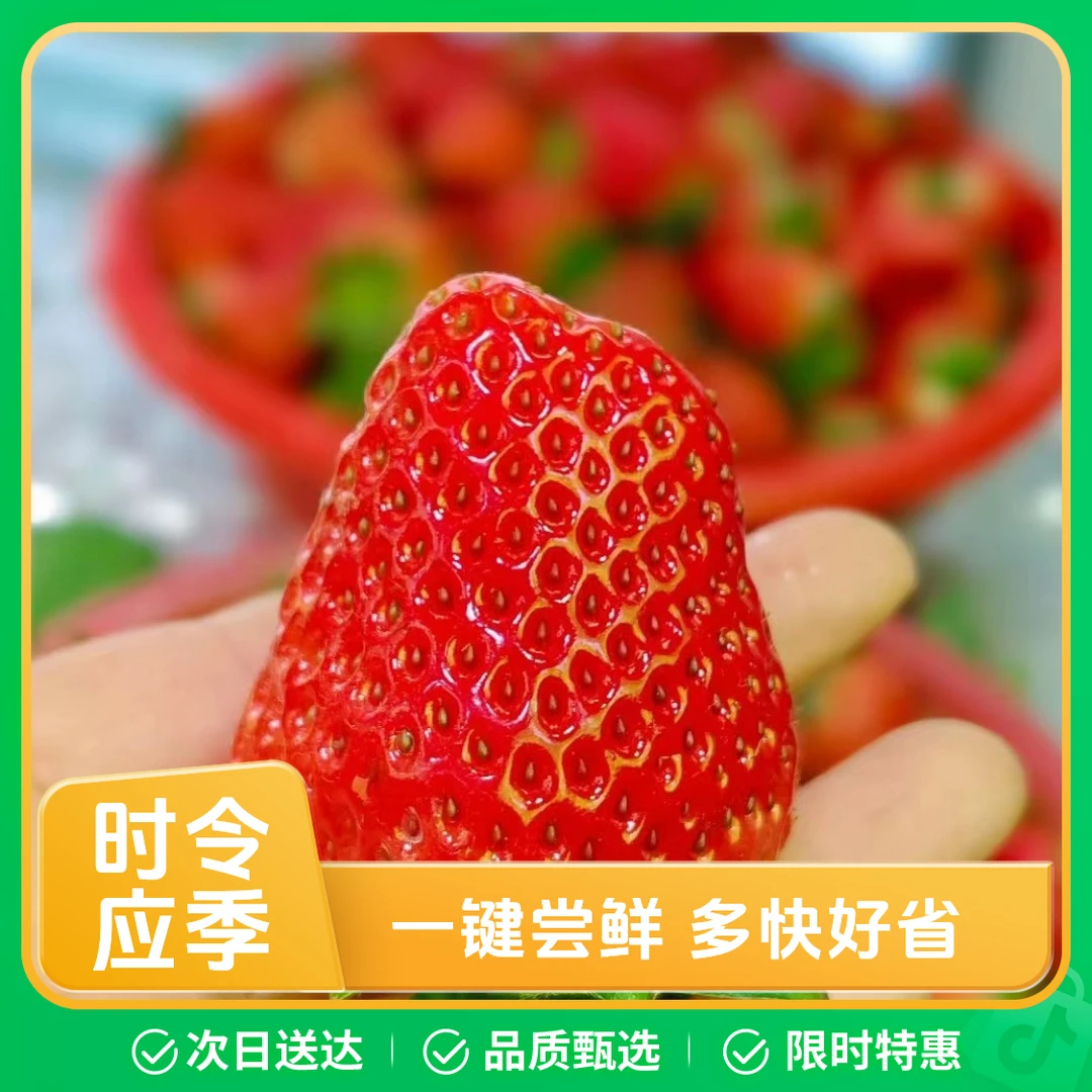 (大小果不匀称)丹东99草莓，新鲜水果，中果一板毛重2.6-2.9斤，大果一板毛重3.6-3.9斤左右99草莓中国大陆
