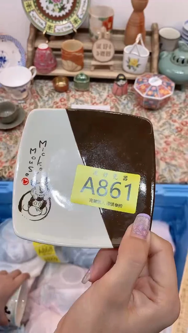 瓷片E*E                A861