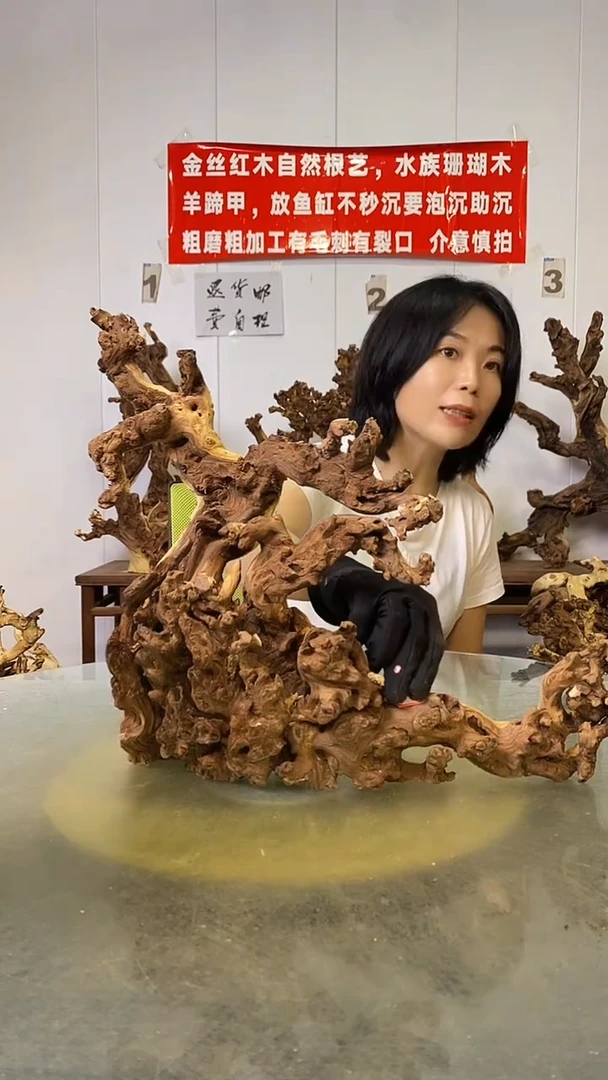 香榧木亮****。金丝红木   羊蹄甲