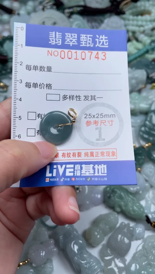 颈饰未镶嵌翡翠10743