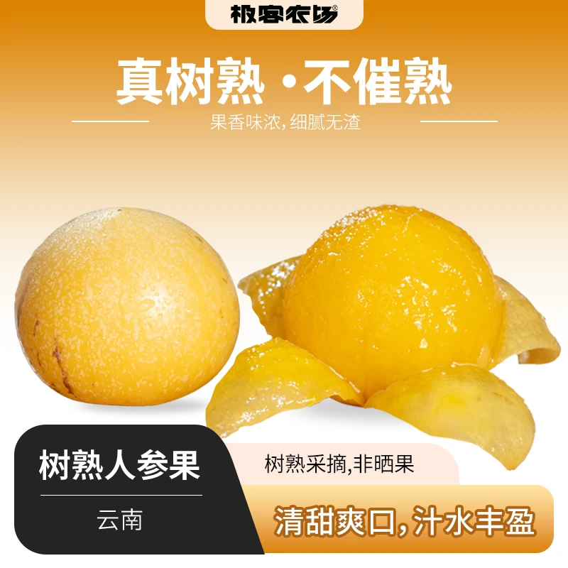 极客真树熟人参果香甜可口水润多汁淡淡果香清甜4.5斤顺丰/京东