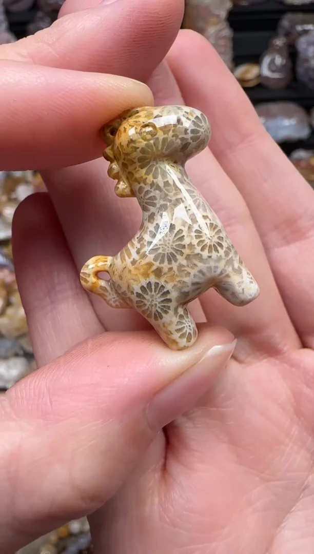 颈饰未镶嵌硅化珊瑚（珊瑚玉）686