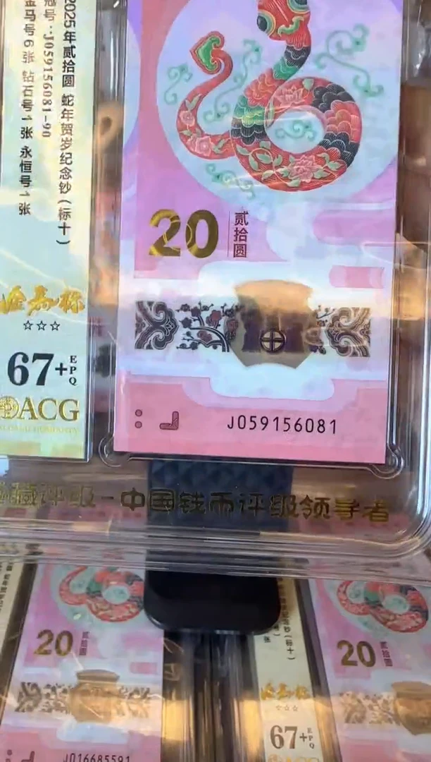 塑料2025 蛇钞  爱藏 标十  啊啊啊啊