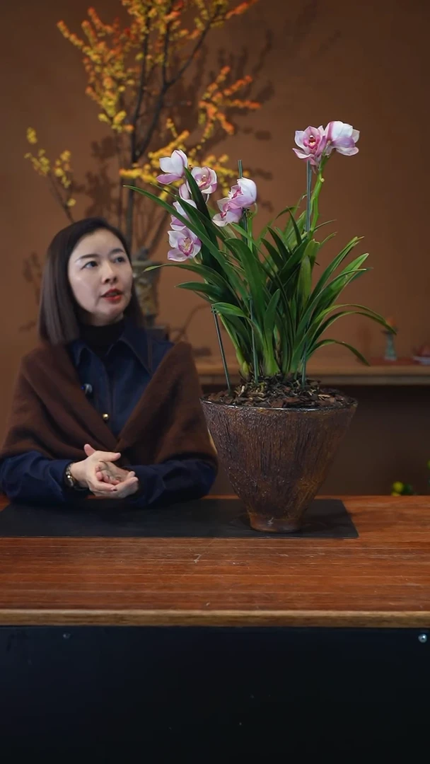 全部花朵烛光盆景盆景盆景