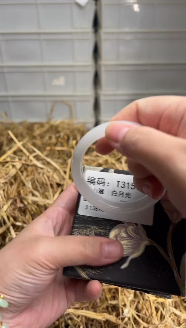 未镶嵌手镯石英质玉T3159