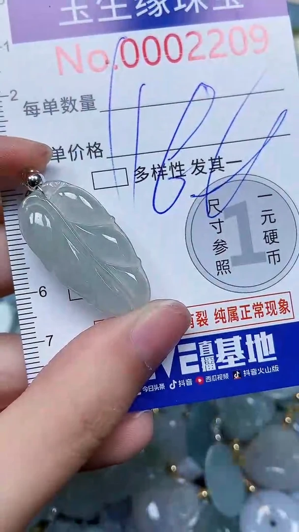 【闪购商品】翡翠颈饰未镶嵌闪购00002209