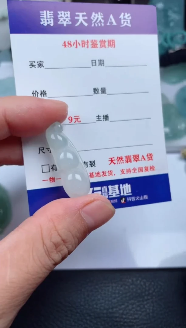 翡翠未镶嵌颈饰