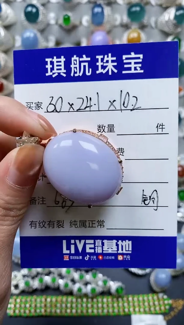 【闪购商品】翡翠颈饰未镶嵌00000663