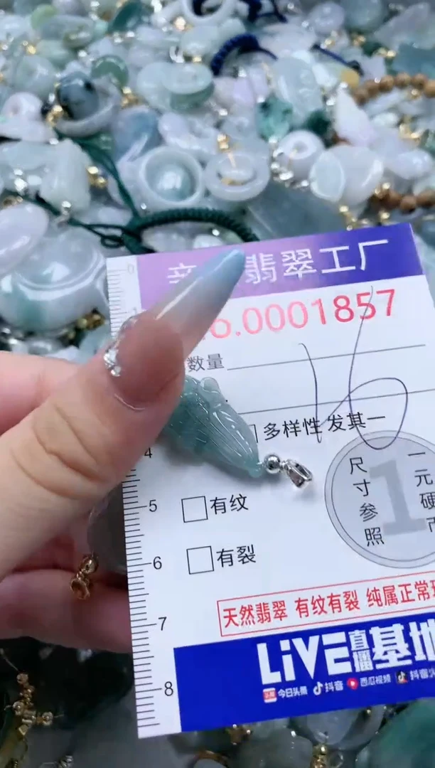 翡翠未镶嵌吊坠(不含链)1857