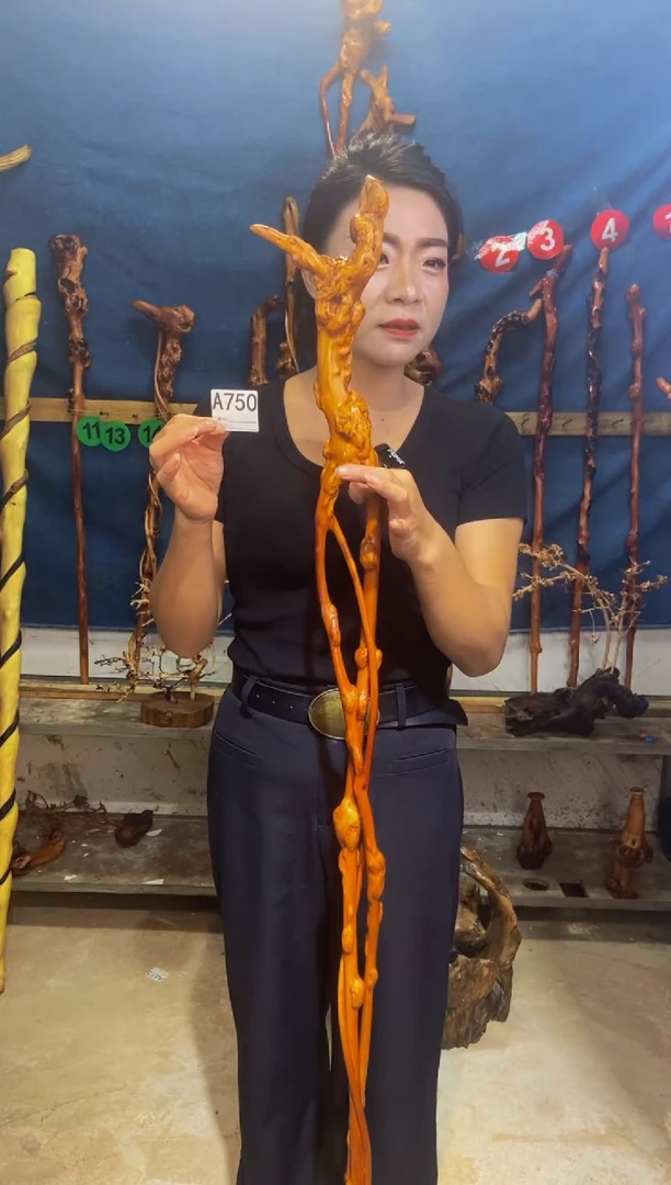 黑果木梦**朝黑果木A750