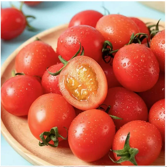 【未店精选】精灵小番茄1盒礼盒装 2-2.5斤/盒