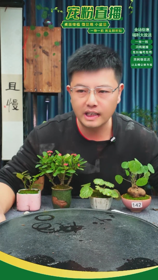无花朵若*苔藓微景观142号