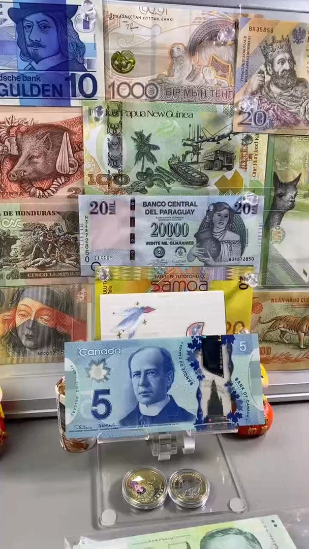 纸币【全新美洲】加拿大5圆 纪念钞 塑料钞