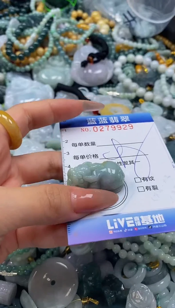 翡翠未镶嵌颈饰闪购0279929