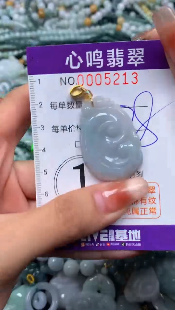 颈饰未镶嵌翡翠闪购005213