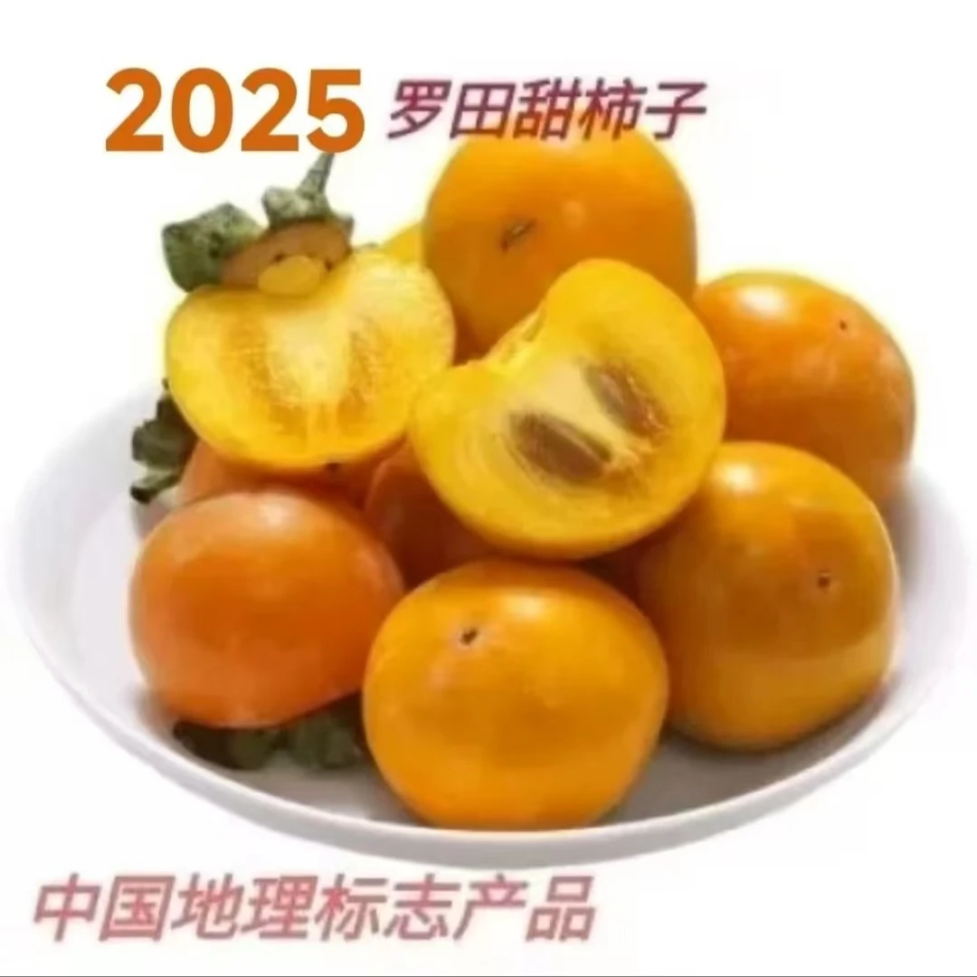 罗田甜柿自然脱涩  大别山特色大果甜柿 脆甜爽口