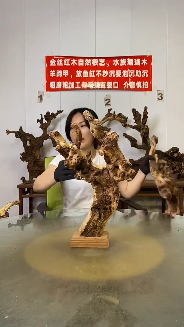 香榧木配****信金丝红木   羊蹄甲