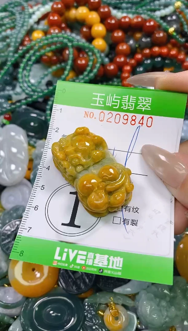 颈饰未镶嵌翡翠闪购0209840