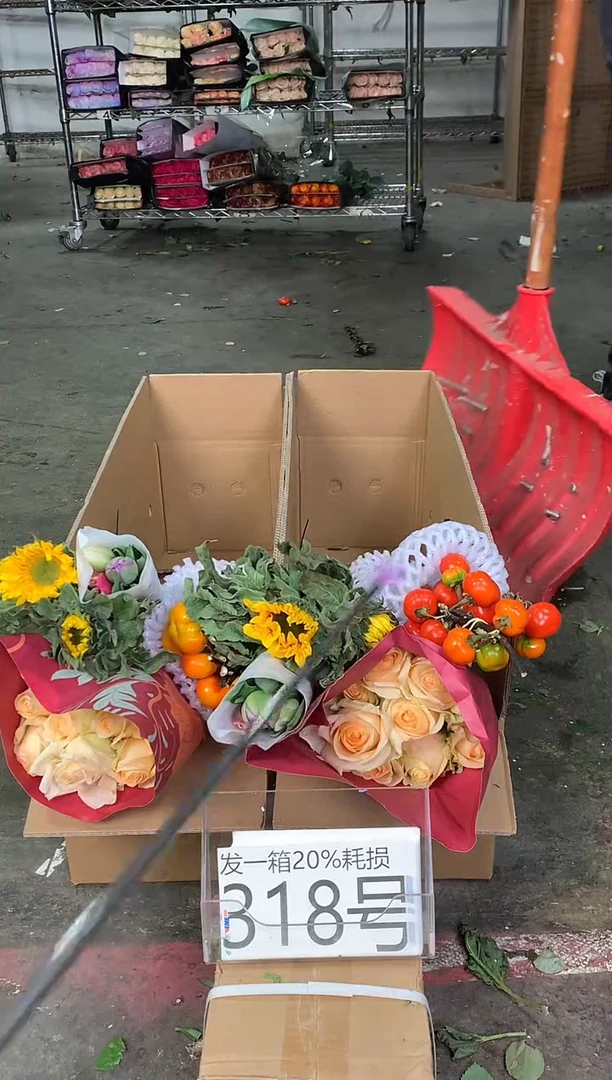 318号♥中通含20%耗损发一箱