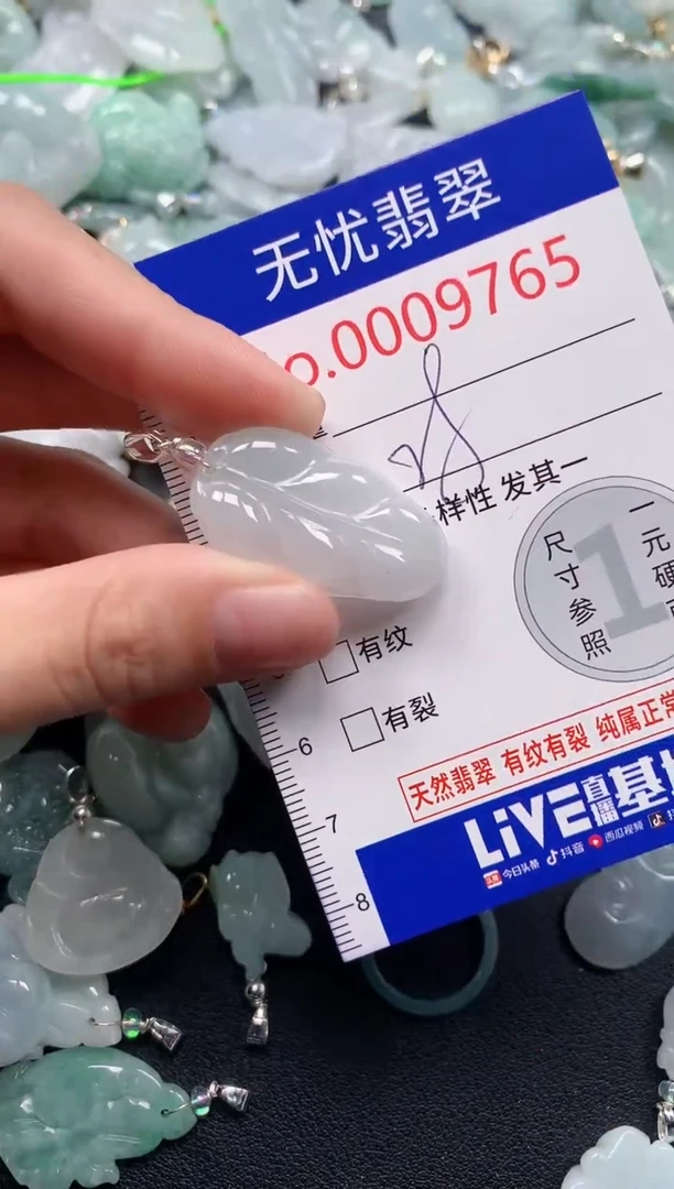 颈饰未镶嵌翡翠9765