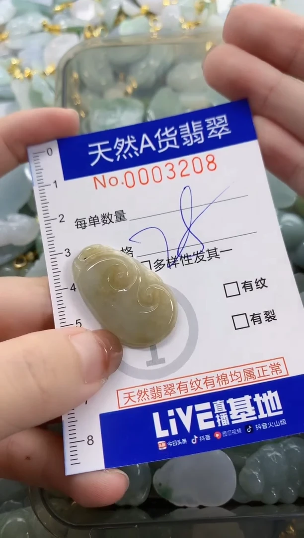 颈饰未镶嵌翡翠天然A货翡翠