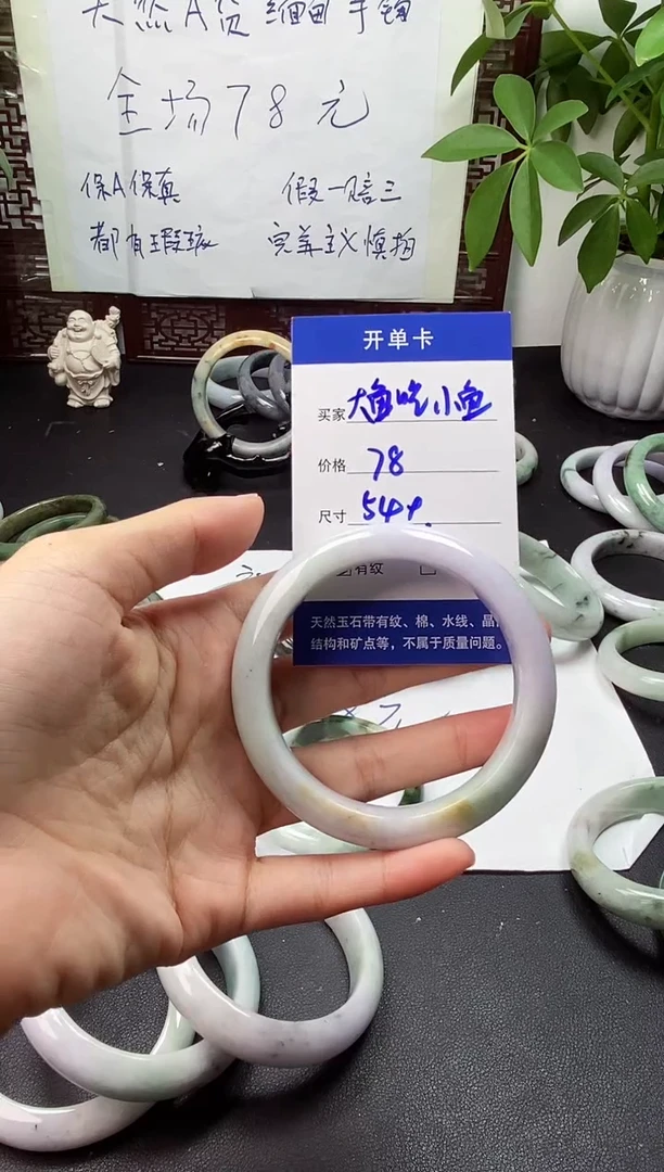 未镶嵌手镯翡翠大***鱼翡翠手镯#17