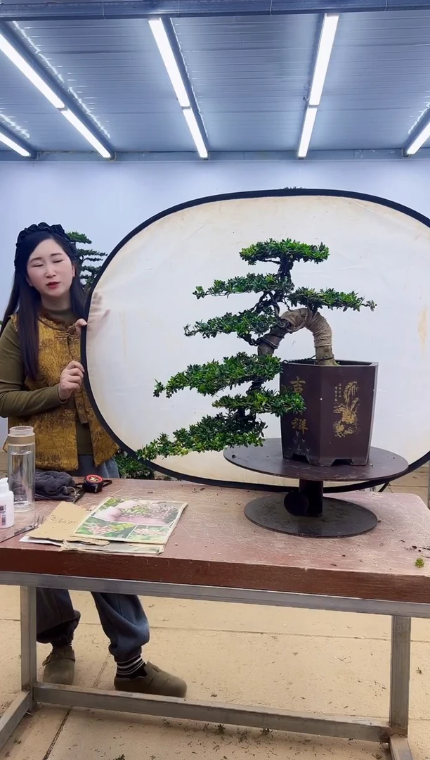 无花朵一物一拍，所见即所得