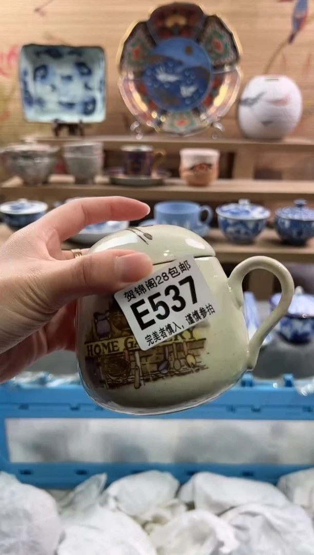 【闪购商品】瓷片当天满28米包邮E537