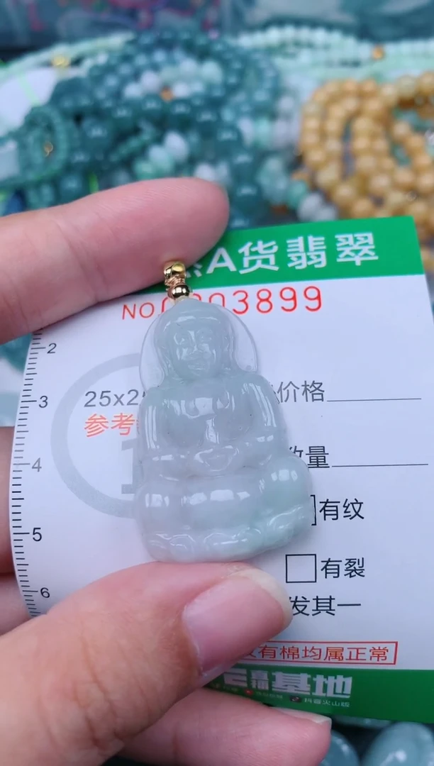 翡翠未镶嵌颈饰.0003899