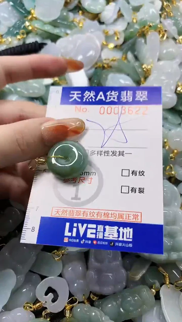 颈饰未镶嵌翡翠天然A货翡翠