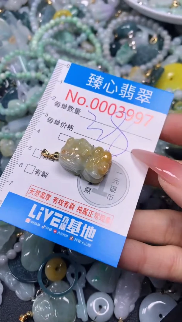 【闪购商品】翡翠颈饰未镶嵌含绳0003997