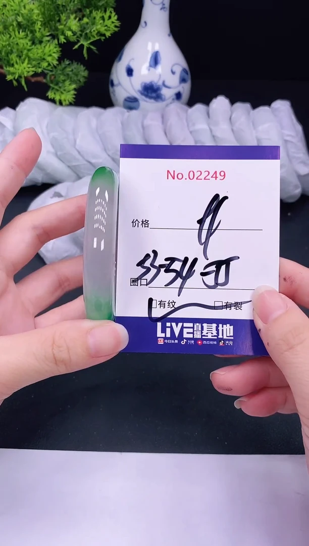 未镶嵌手镯翡翠2249