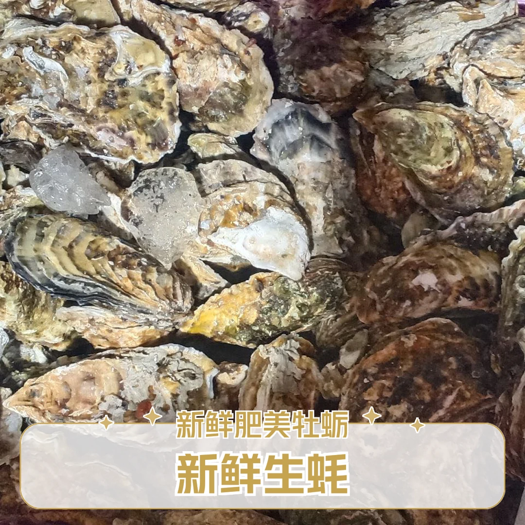 【深蓝海域】正宗乳山生蚝3+鲜活美味1.3KG新疆包邮