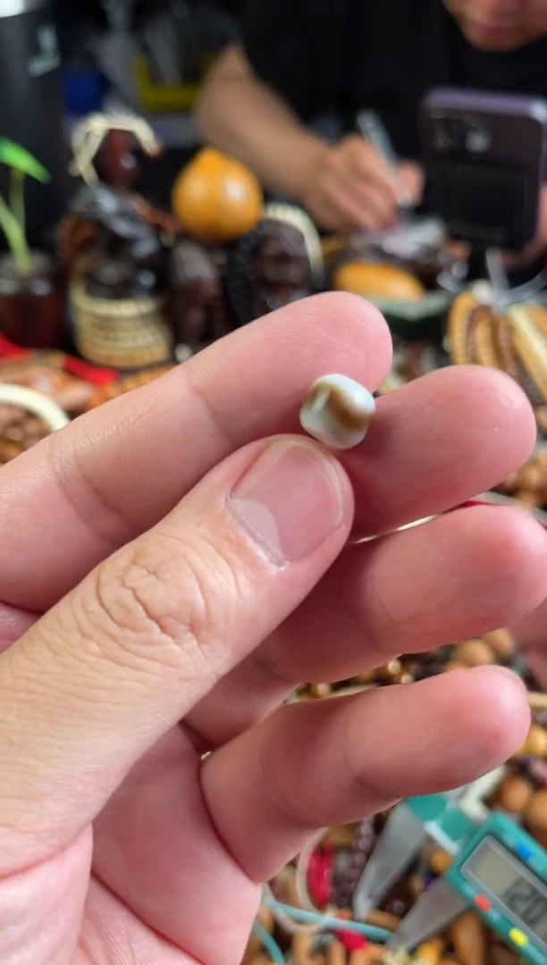 玛瑙/玉髓.未镶嵌王胖子文玩工作室虎牙1.0随机发