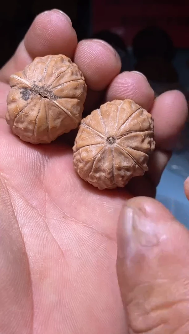 把件文玩核桃龟甲纹30左右全品白茬