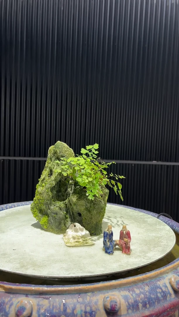 吴定石一物一拍专属