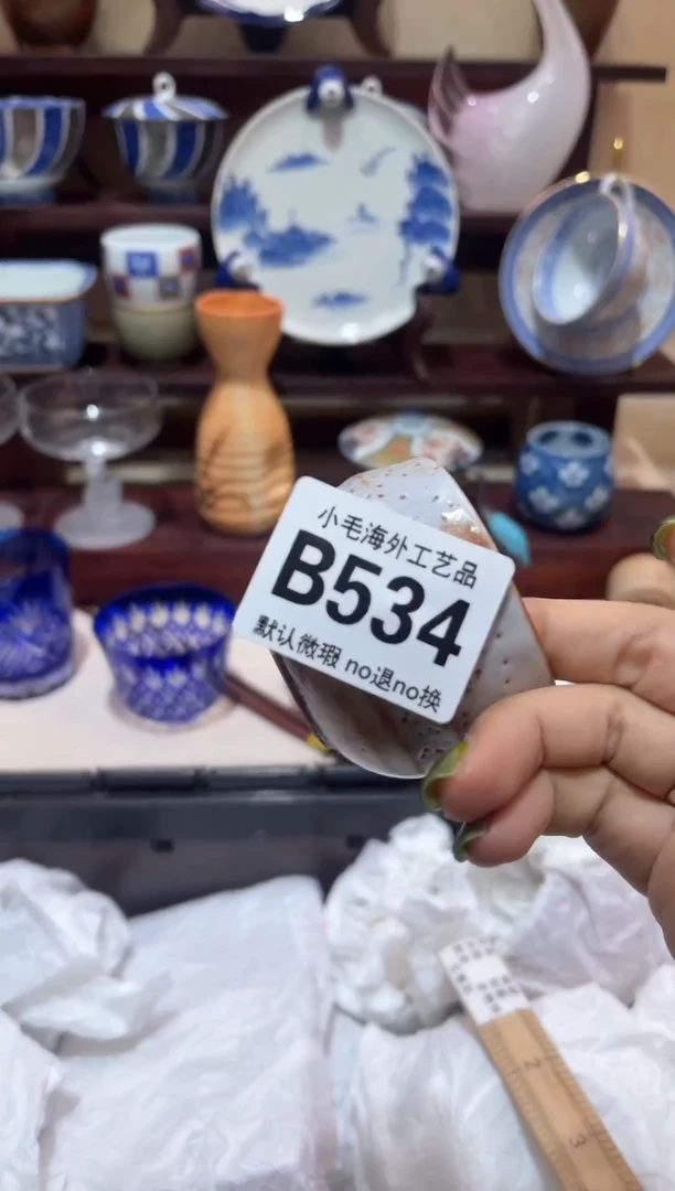 瓷片J**.           B534