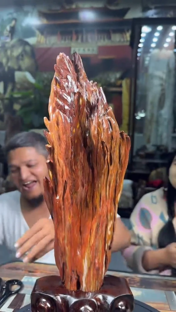 【闪购商品】硅化玉珠宝奇石未镶嵌拍一发一