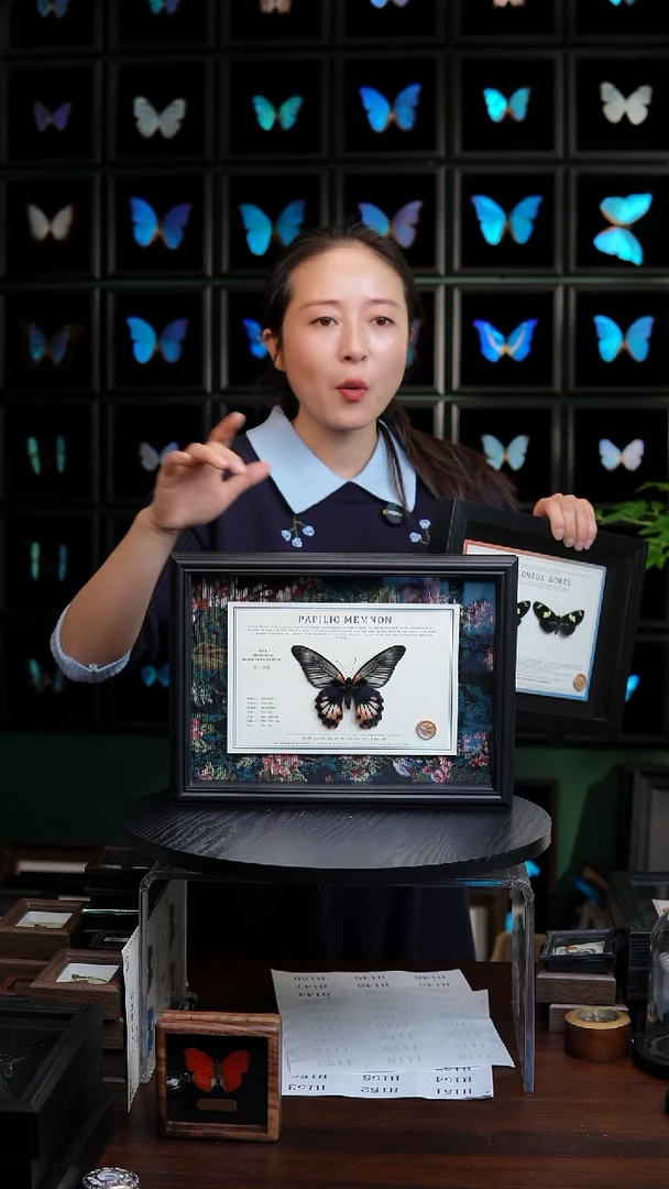 美凤蝶A4横框布艺款无尾