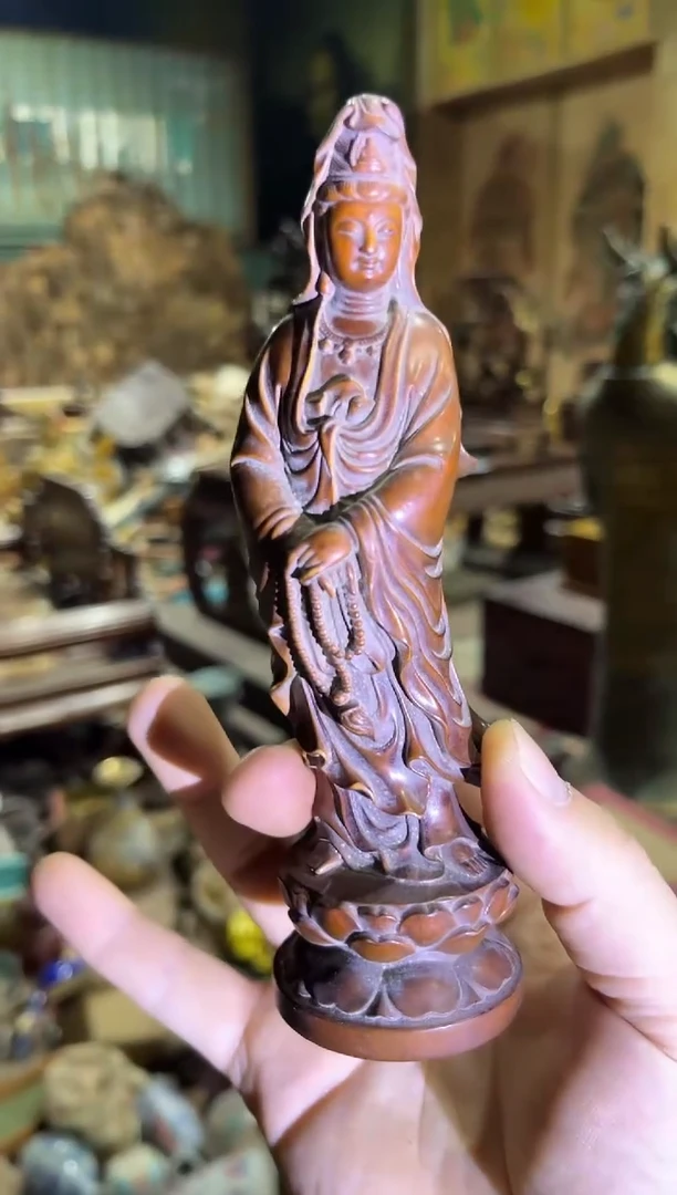 黄杨木54旁旁旁旁旁旁旁旁