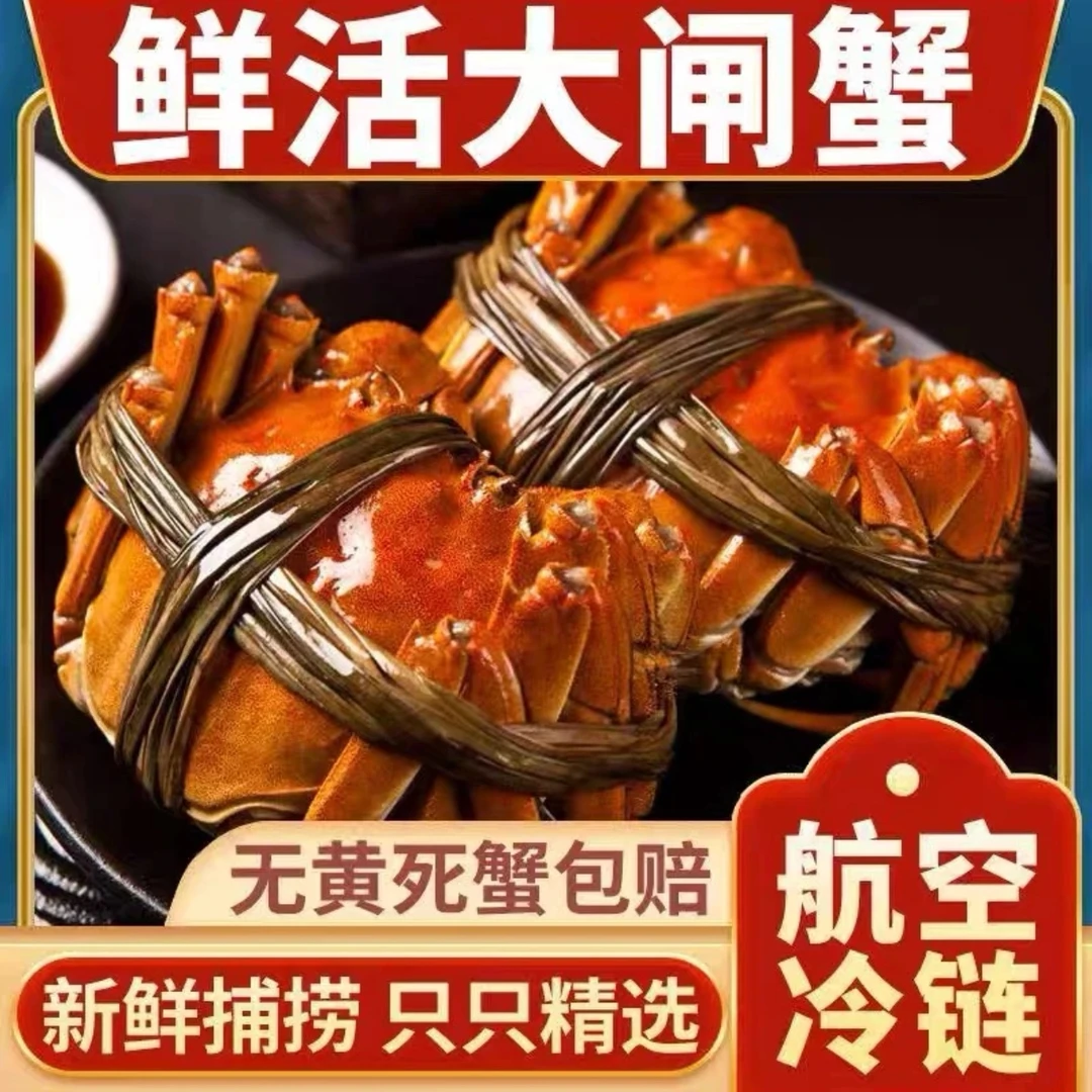 【活蟹】江苏洪泽湖大闸蟹全母蟹2两以上6只鲜活螃蟹现捕现发包邮