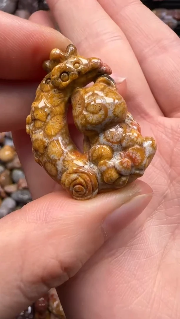 【闪购商品】硅化珊瑚（珊瑚玉）颈饰未镶嵌006