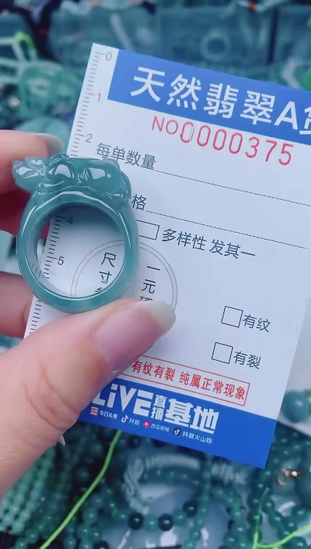颈饰未镶嵌翡翠00000375