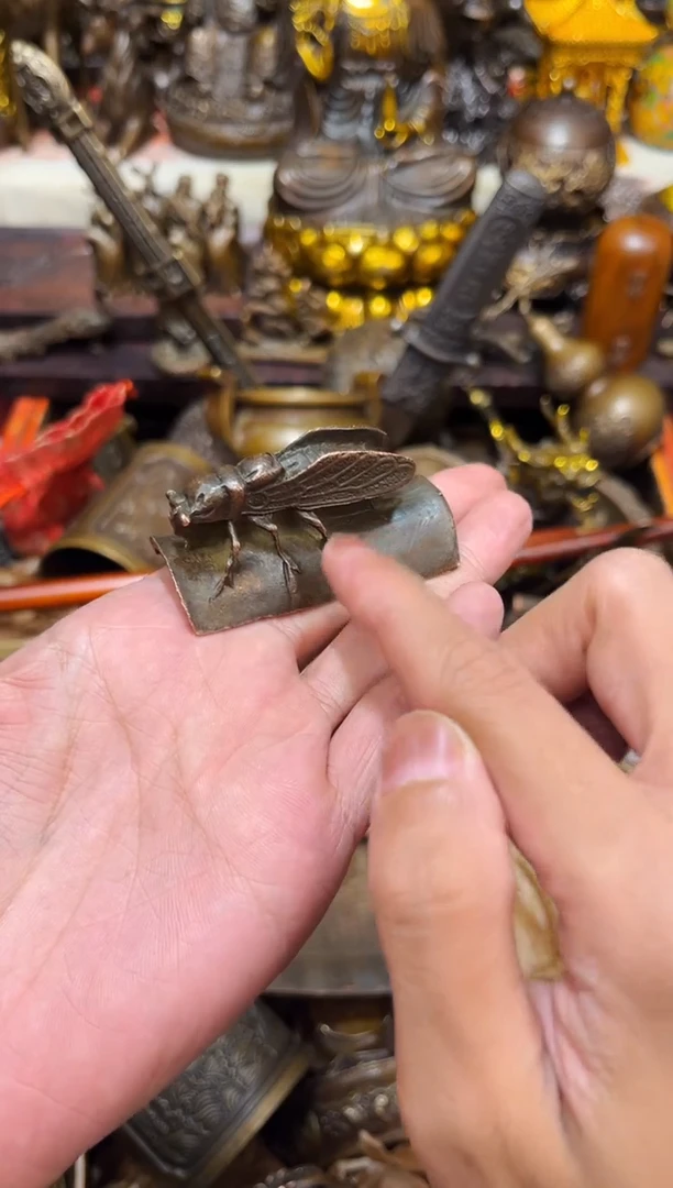 诺诺高端精选链接A10