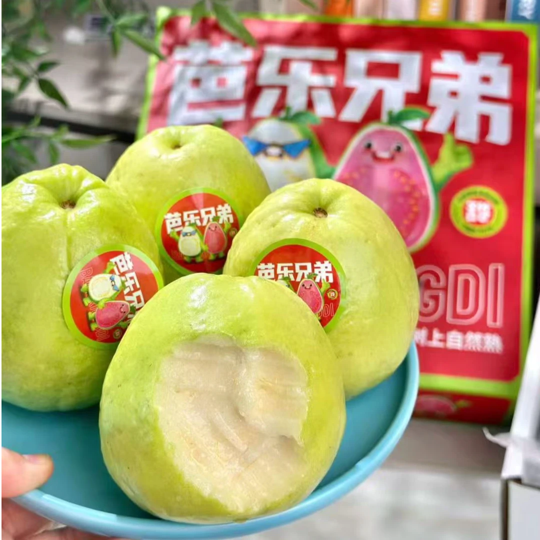 芭乐兄弟广东精品白心2公斤