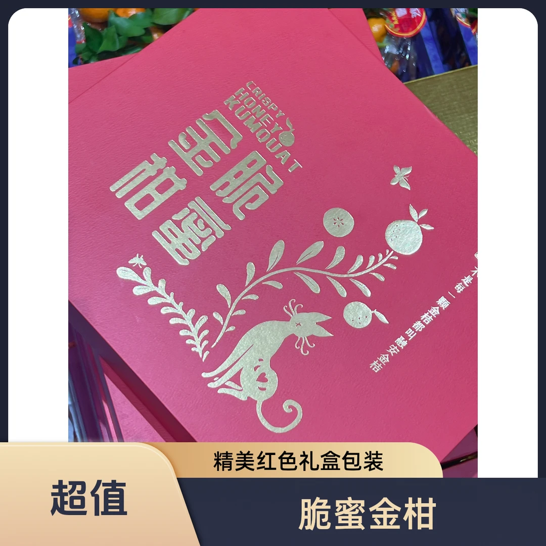 精品礼盒装 第三代融安脆蜜金柑金桔 特大果2斤  送礼上档次