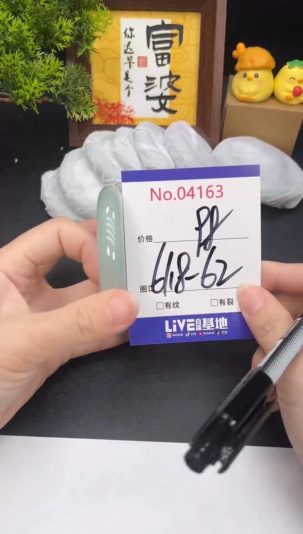 未镶嵌手镯翡翠4163