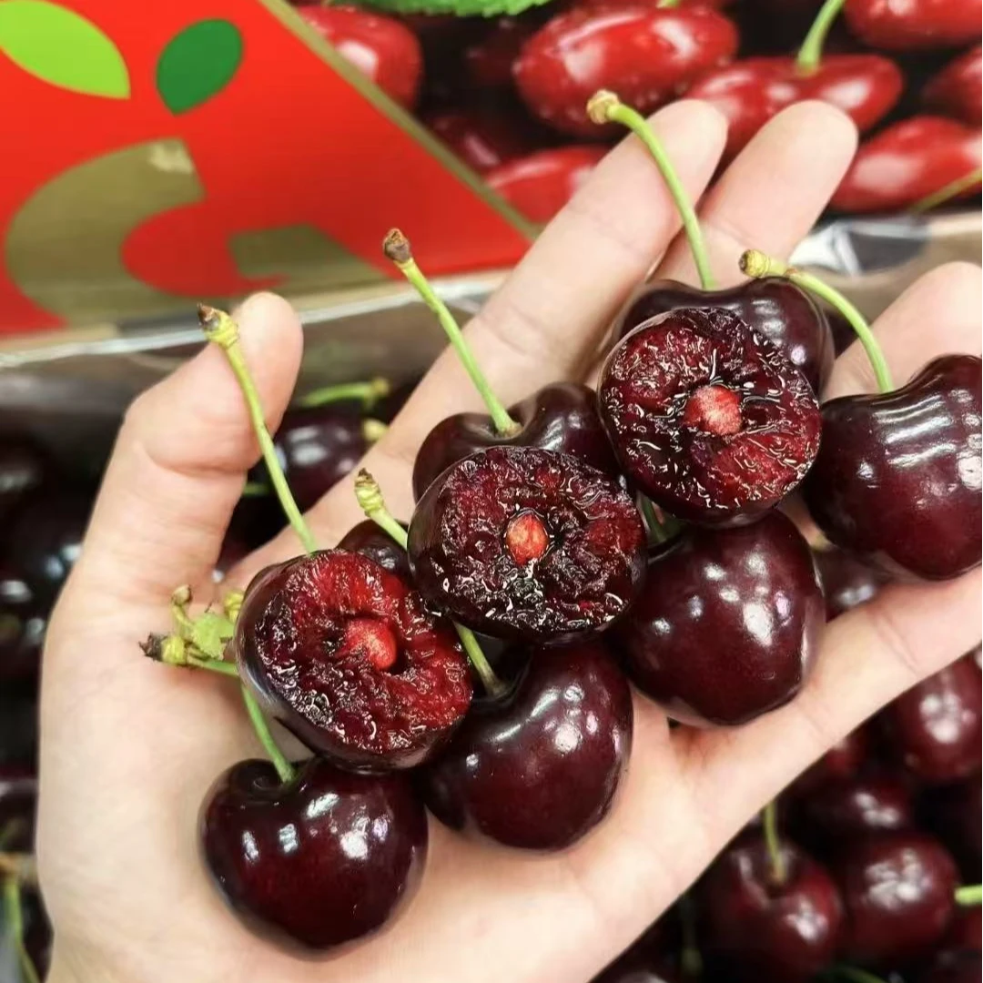 【5斤原箱】智利进口桑提娜海运车厘子2-4J升级黑车内附果径卡顺丰