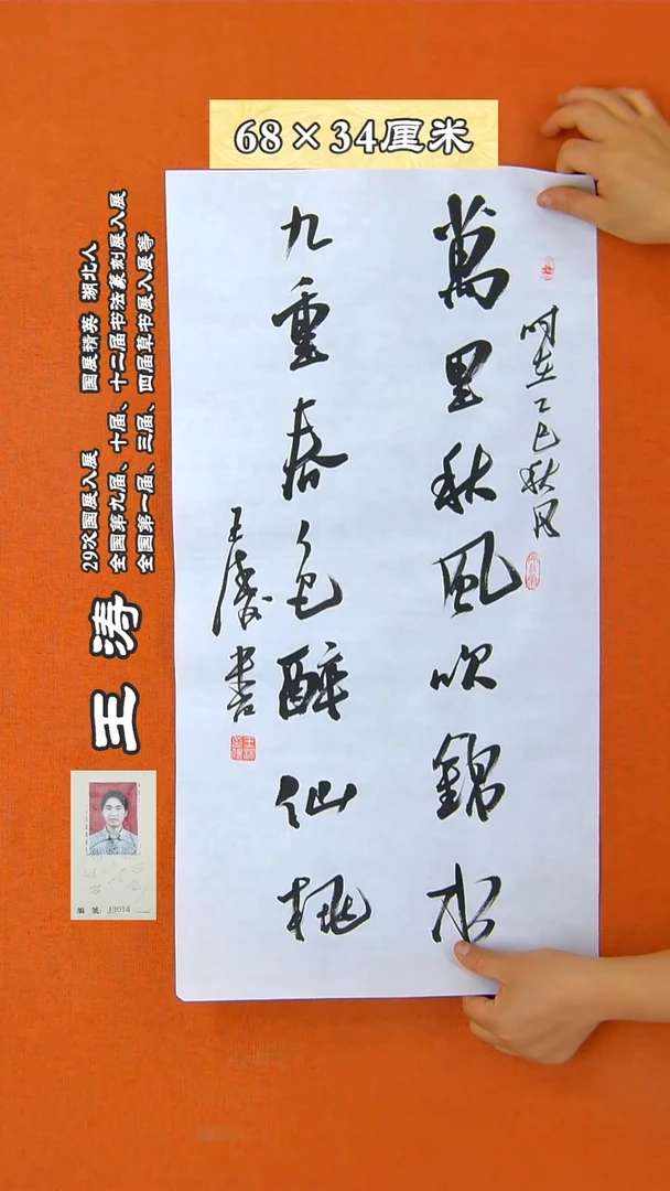书法186R王涛书法作品