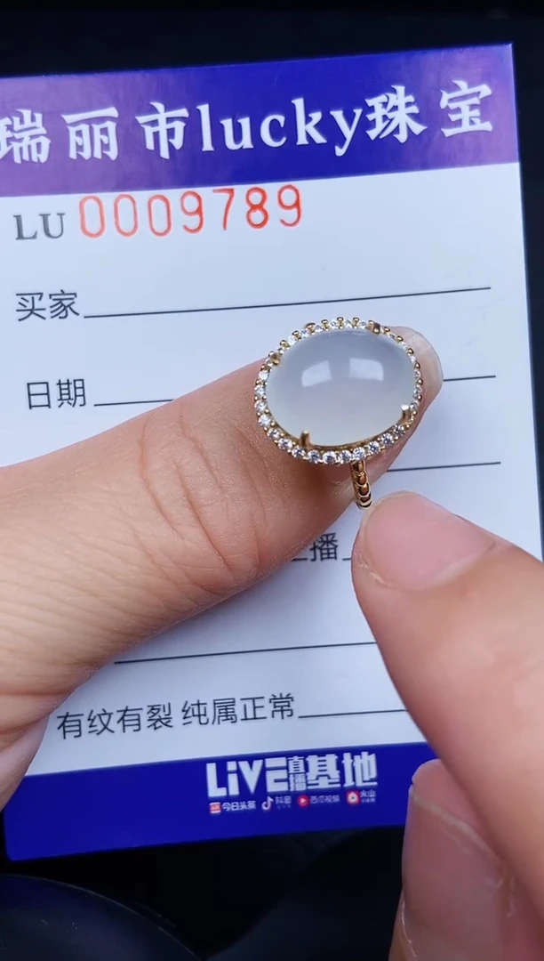 翡翠银S925镶嵌颈饰9789